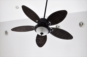 Ceiling Fan Repairs southbury ct